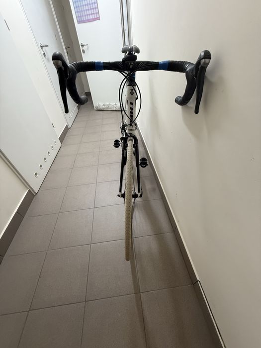 Rower szosowy Trek Domane 2.3