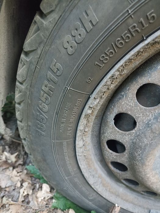 Продам надійного коня