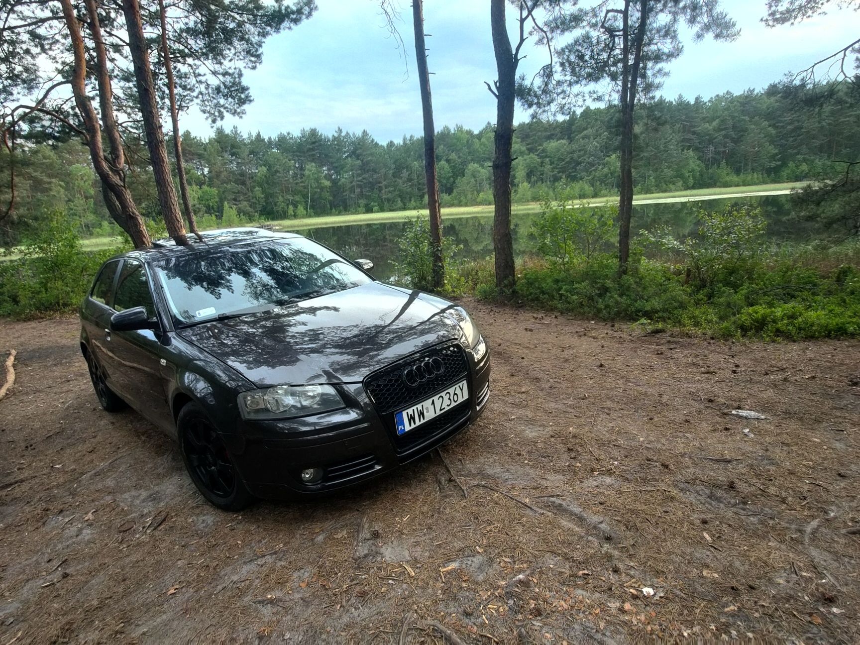 Audi a3 8p 2.0fsi