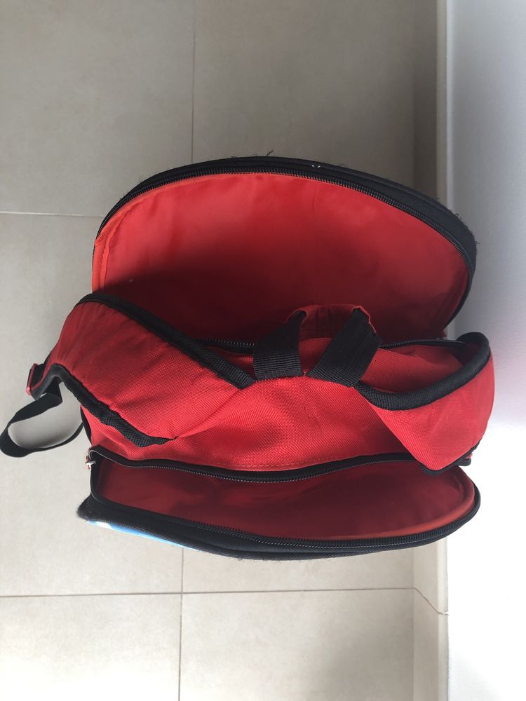 Mochila Ladybug usada