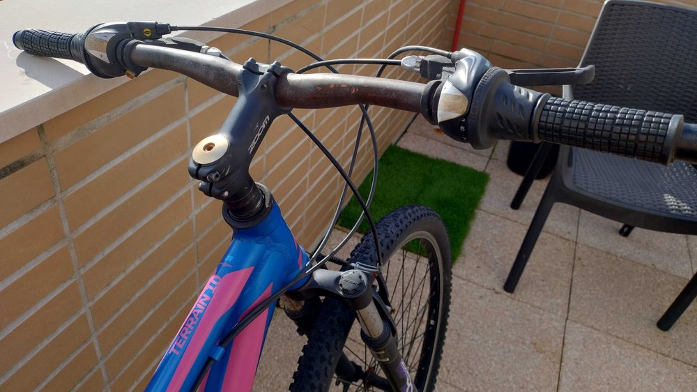 Bicicleta Spitz Terrain 10