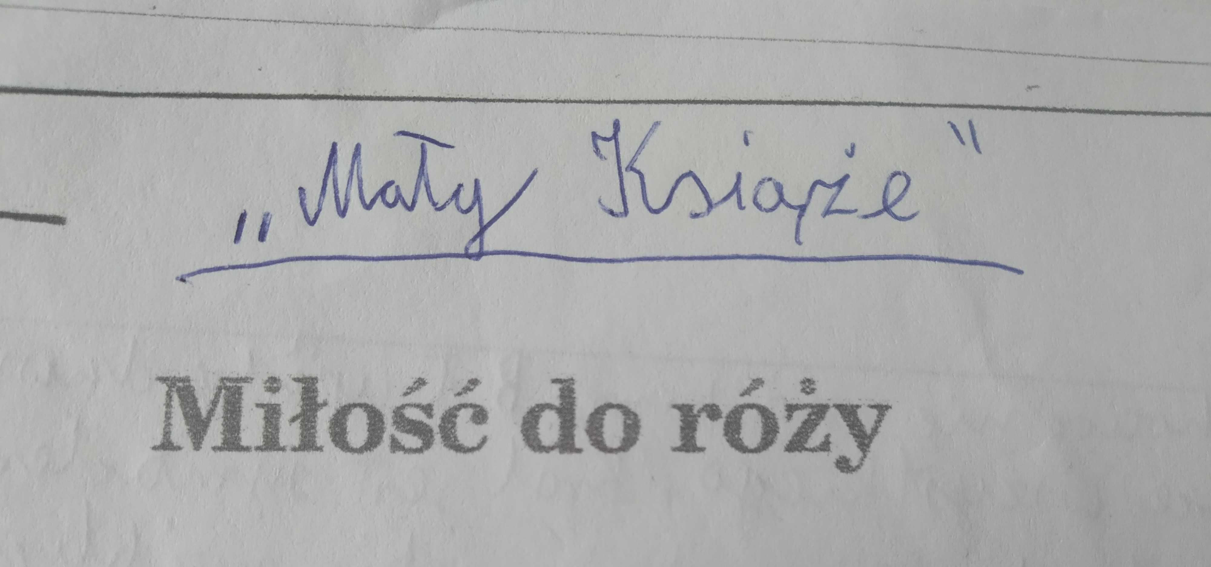 Notatki Mały Książę