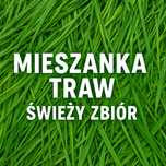 Mieszanka traw a'la gorzowska