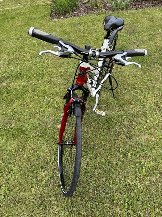 Rower bulls kola 28”