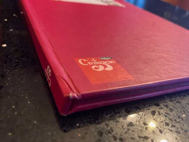 O pajem não se cala de António Torrado