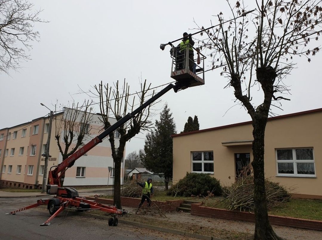 Wycinka drzew, wycinka drzew metodą alpinistyczną, pielęgnacja drzew