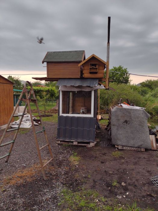 Gołębnik 2szt.maly 220 duzy 320zl.500 za kaplet parownik gratis okazja