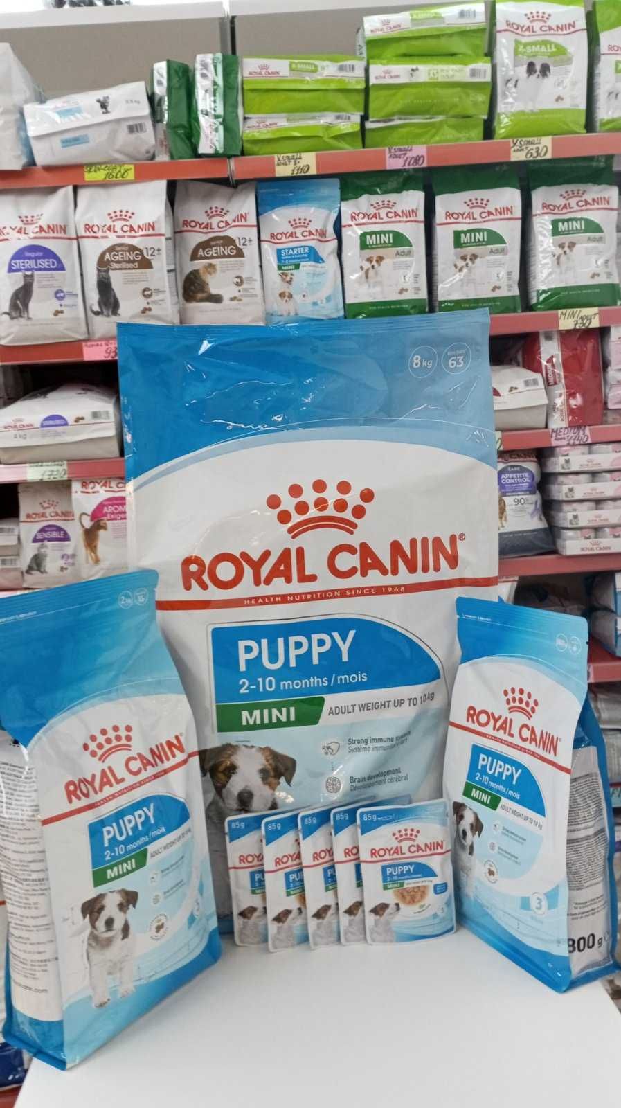 Royal Canin mini puppy