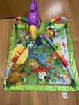 Ginasio fisher price novo