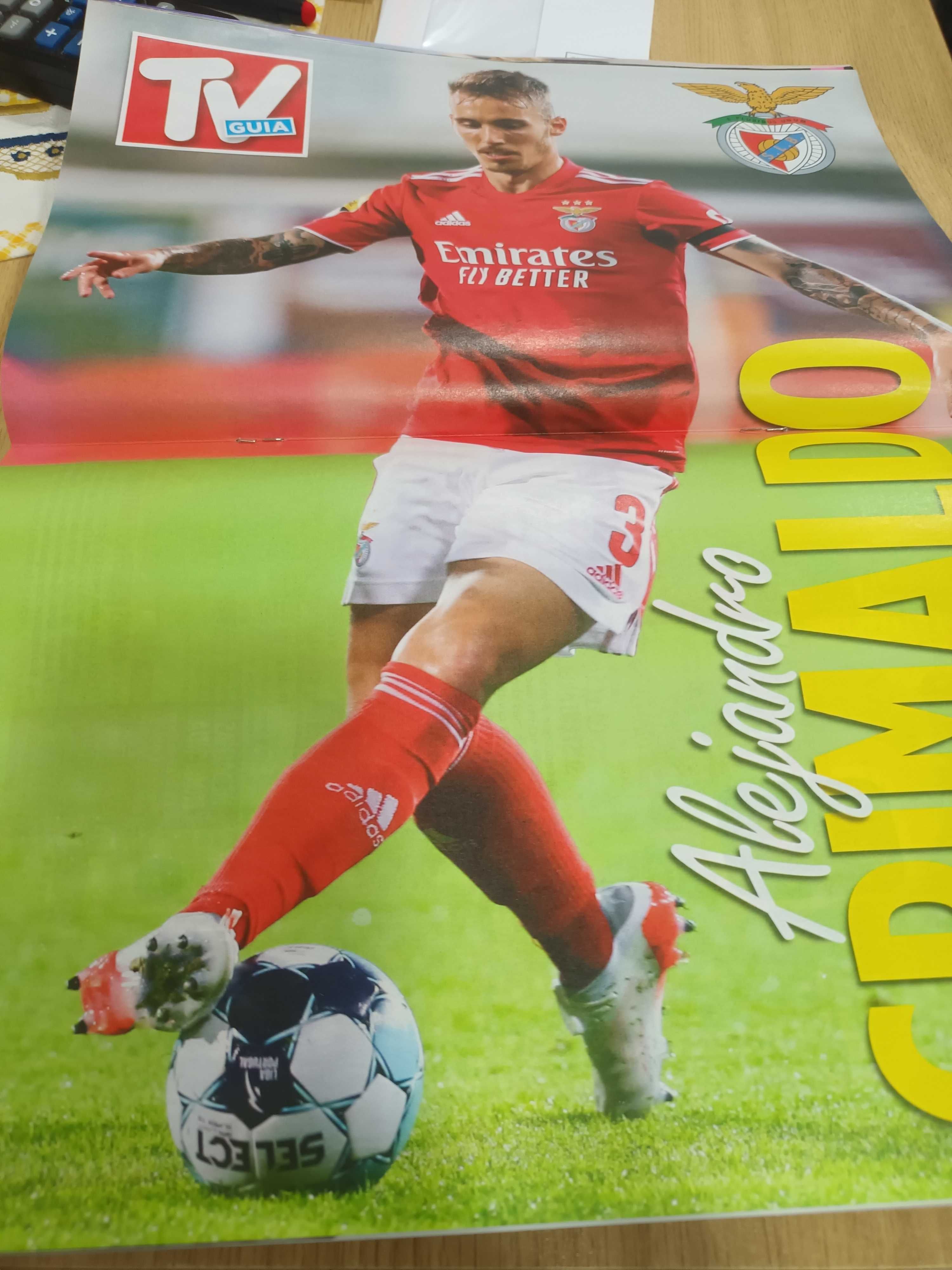 Poster Grimaldo do Benfica