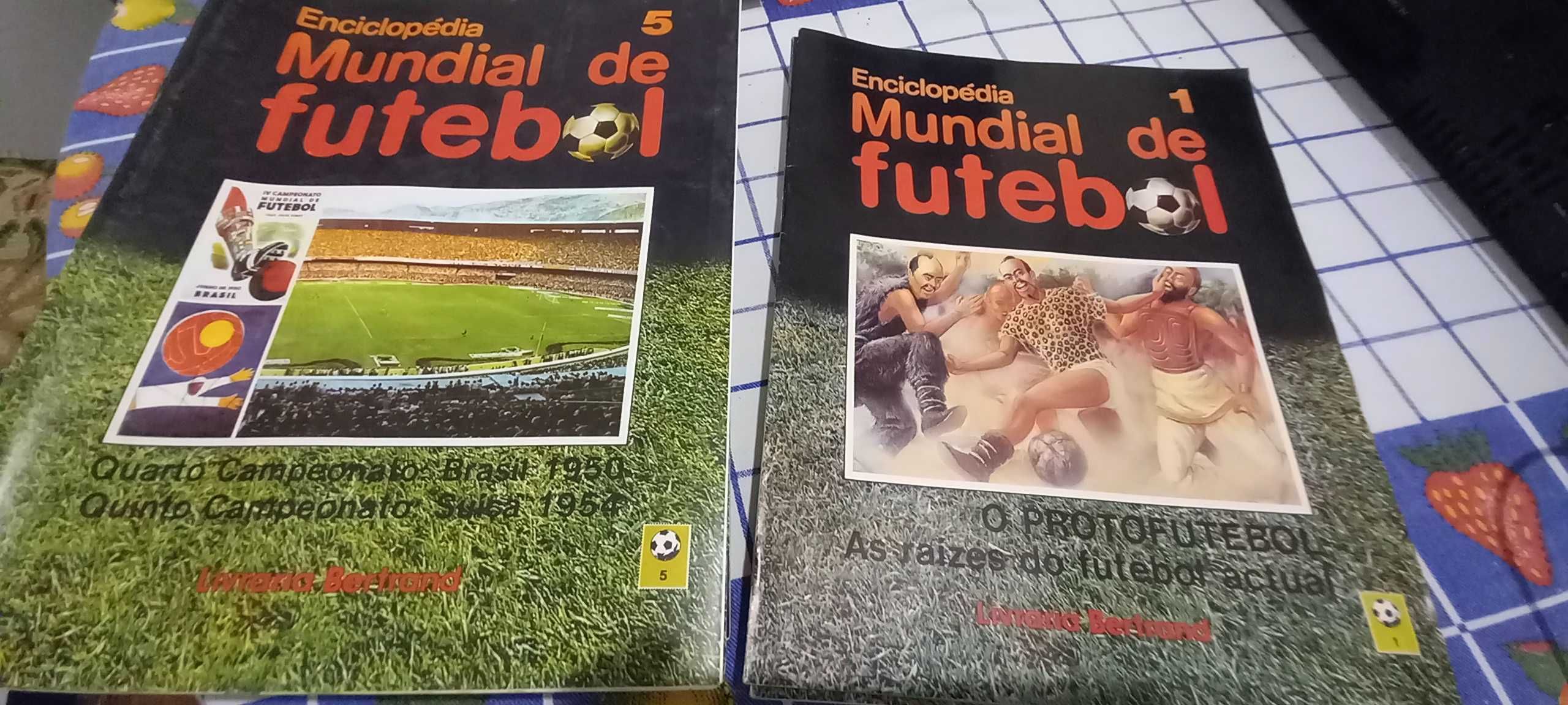 Enciclopédia Mundial Futebol anos 70/80/90  - 29 Livros !!!