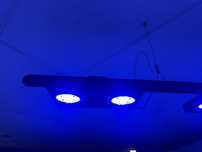 Luminaria Radion
