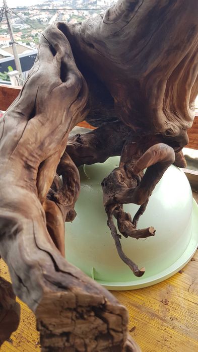 Tronco Urzo limpo para aquário ou decoração