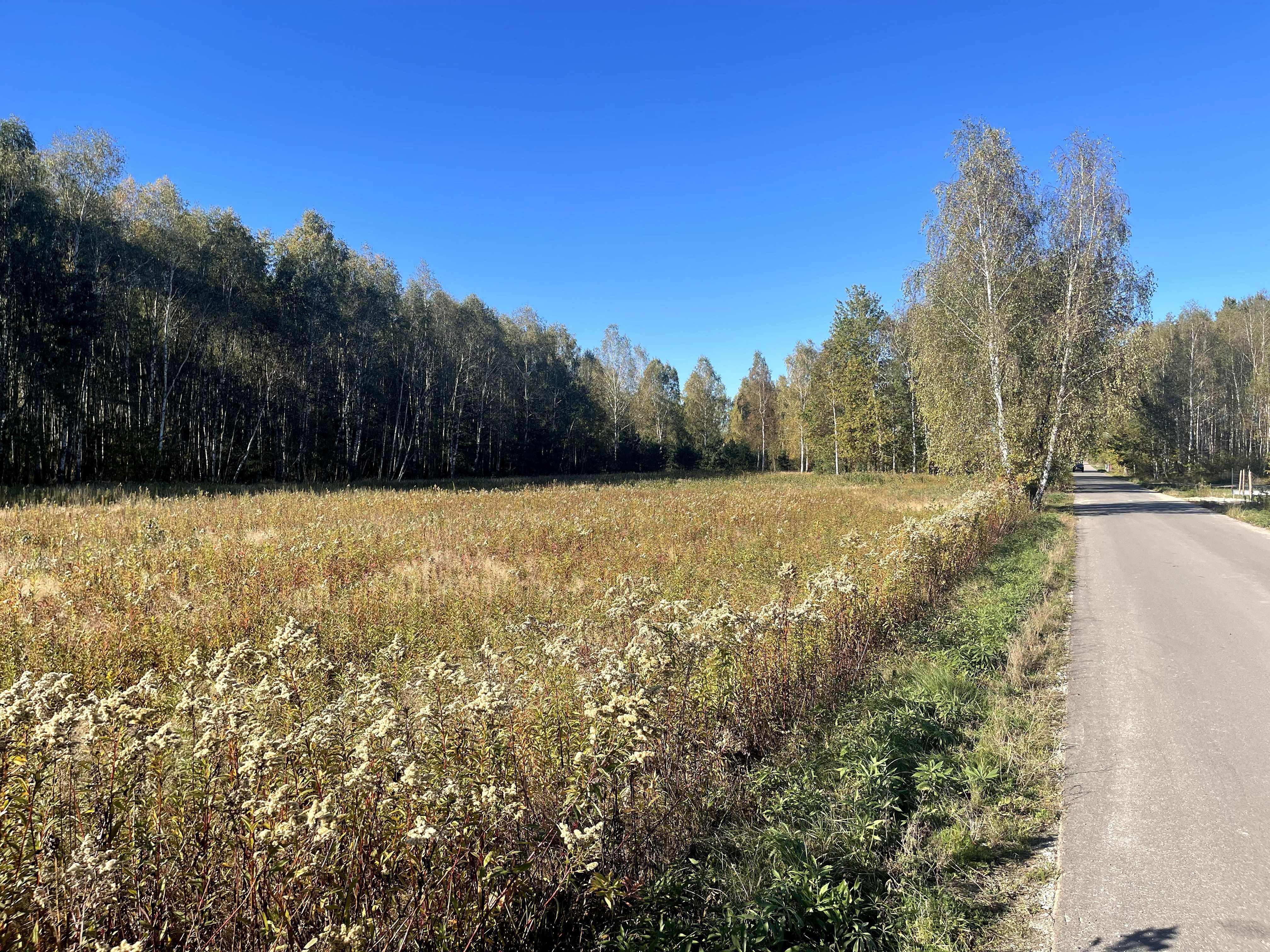 Budowlane, Żabieniec g. Parysów, przy granicy z g. Garwolin i g.Pilawa