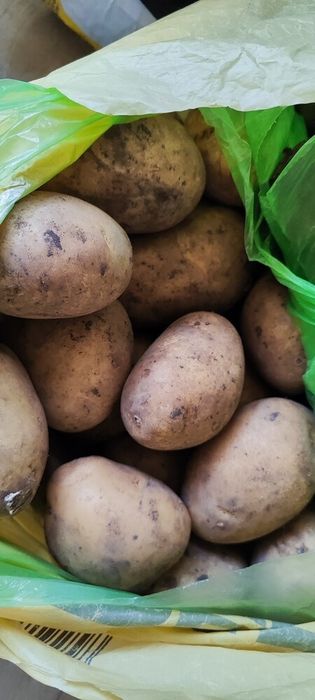 Домашні овочі - картопля, буряк, капуста, морква, цибуля