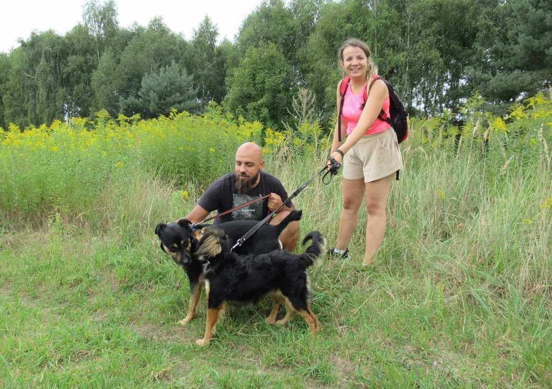 Młody Kusy czeka na dom!