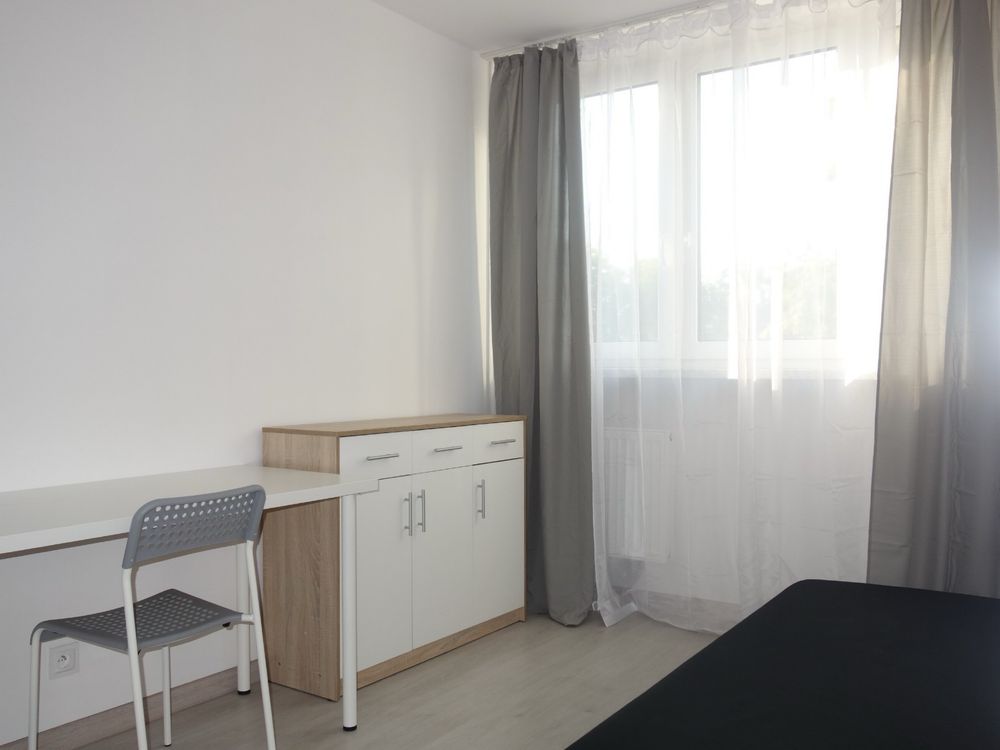 pokój w centrum Wrocławia