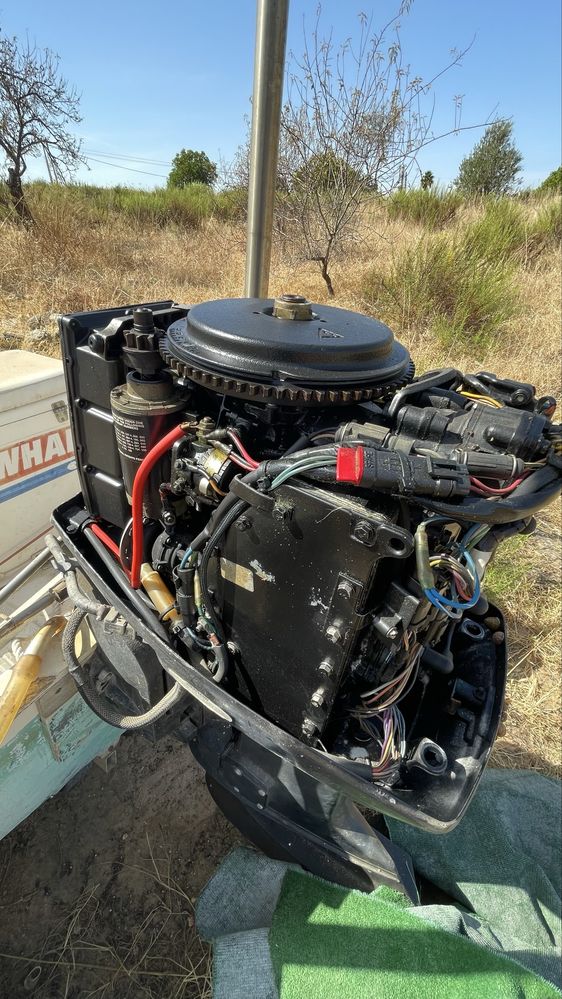 NARWHAL 520H - EVINRUDE 70Cv + Reboque