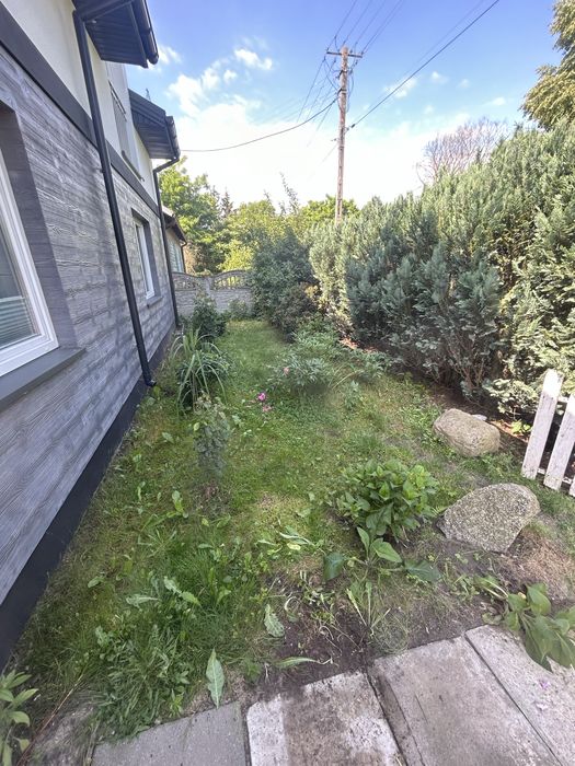 Usługi Ogrodnicze Koszenie Traw Wycinka Drzew/sadowCzyszczenie działek