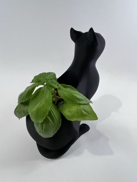 Doniczka Kot Czarny 16 cm wysoka