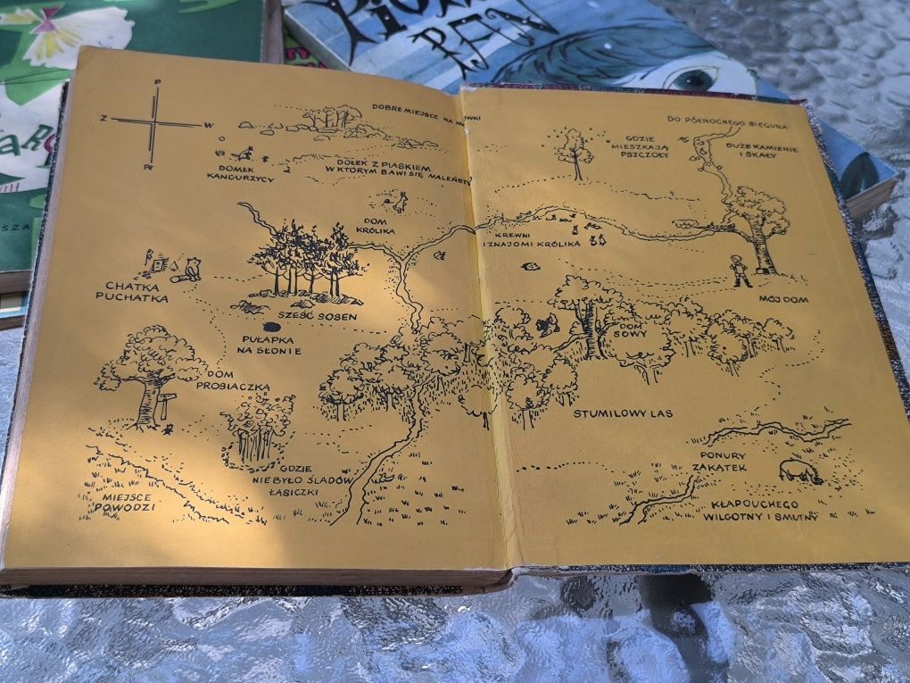 Chatka Puchatka. A.A. Milne. 1962r!