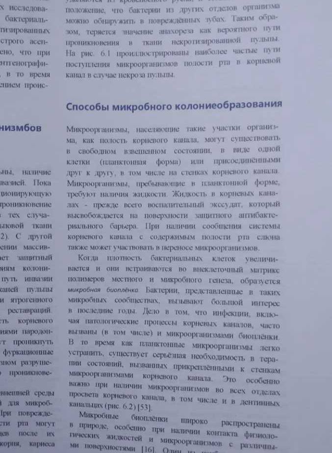 NEW‼️ Эндодонтология Гуннар Бердженхольц 2013 г стоматологічні книги