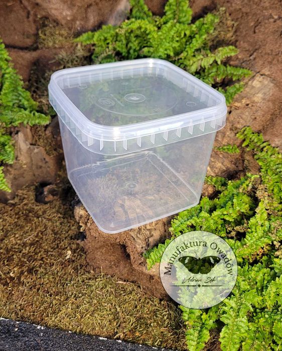Pojemnik plastikowy braplast 1200ml – 12×12×11 cm