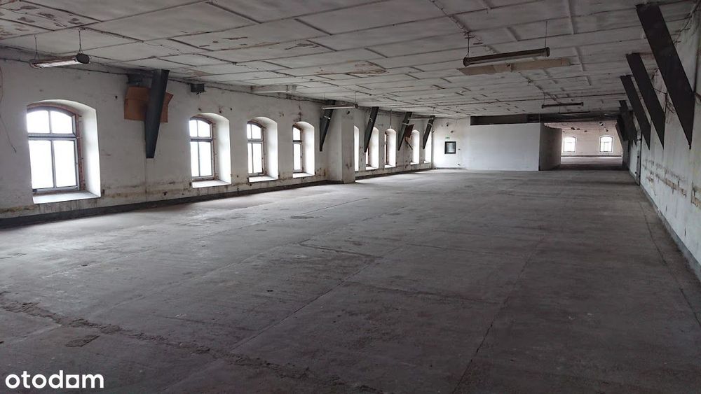 Magazyn 150 lub 300 lub 450, 900m2 plac TIR hala