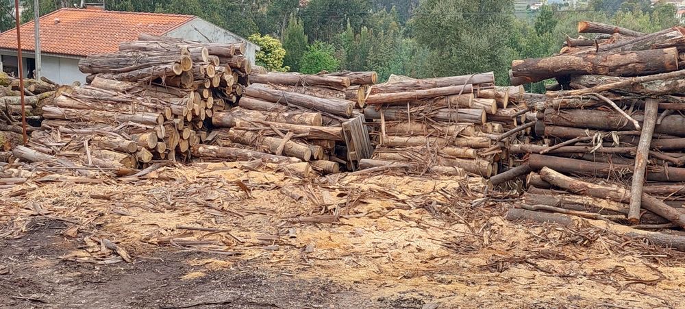 Lenha para aquecimento