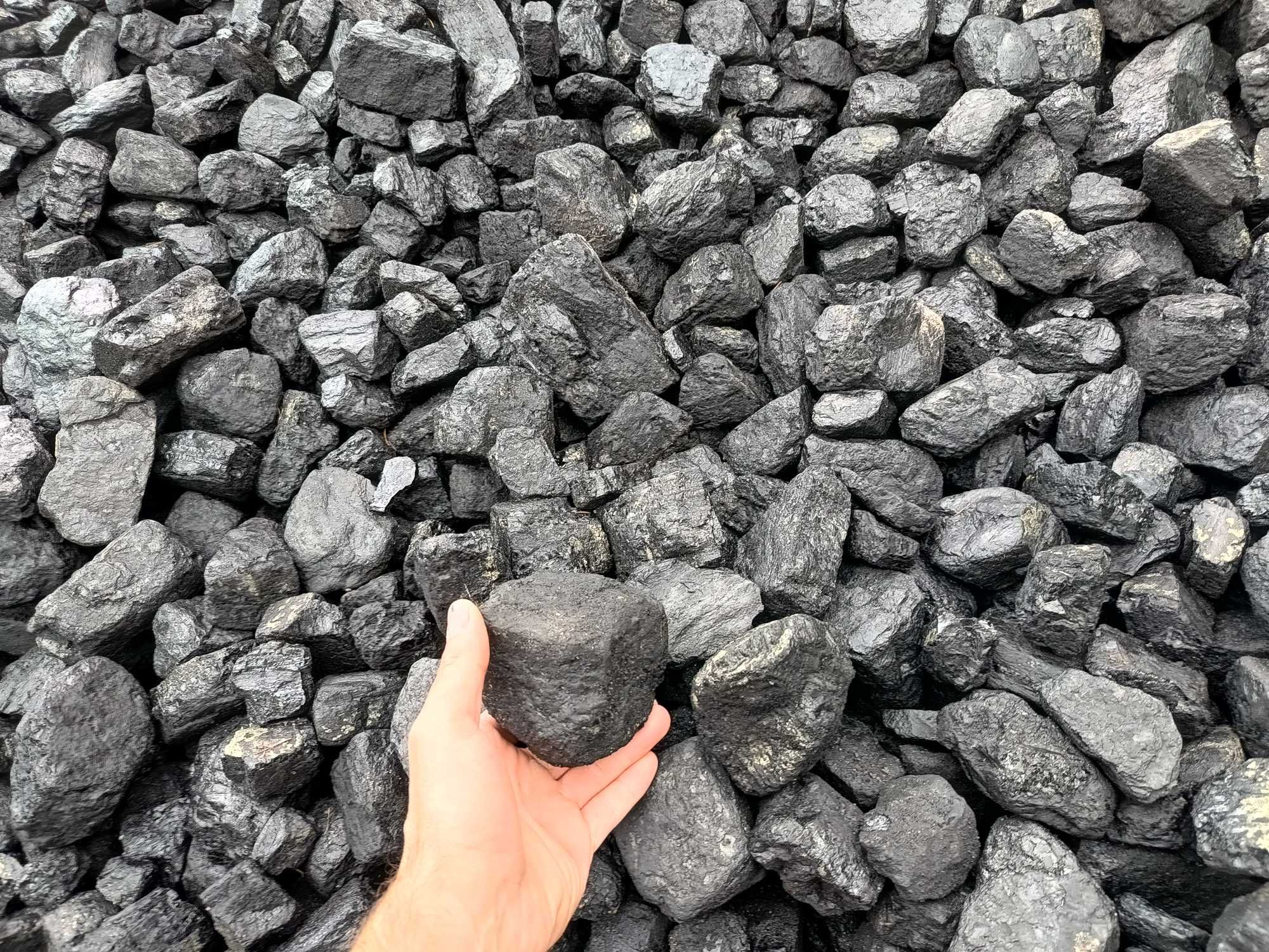 Sprzedam węgiel kamienny