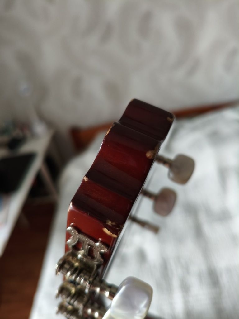 Gitara Klasyczna Alvera