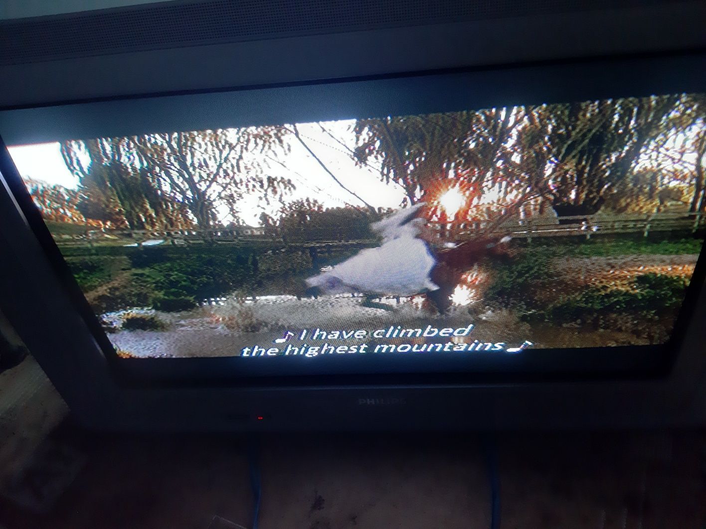 TV com comando  em muito bom estado.