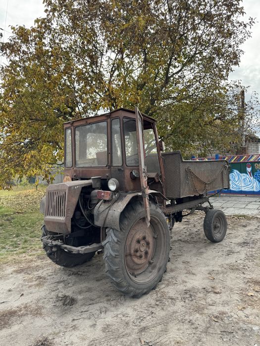 Трактор  ХТЗ Т-16 М