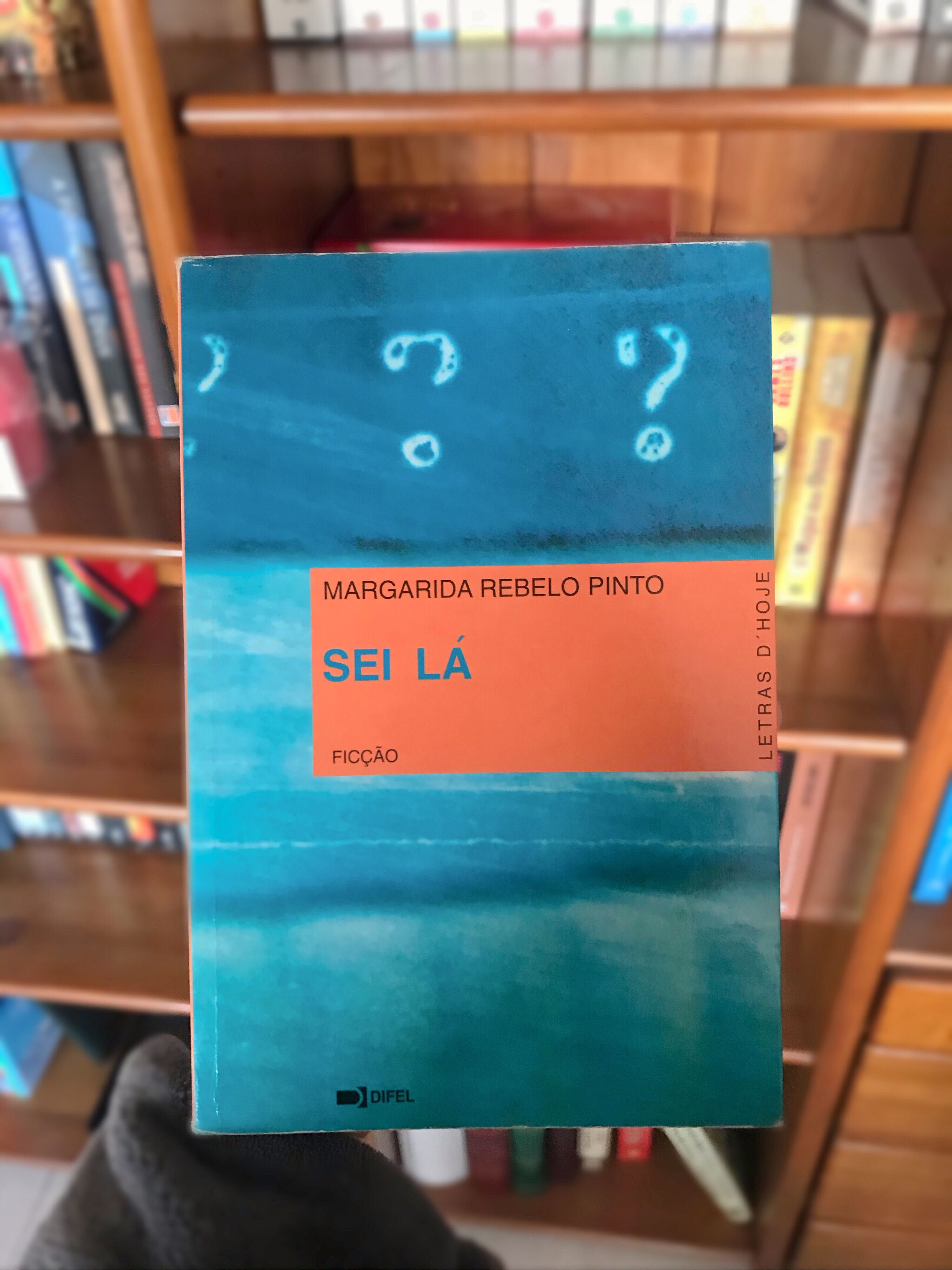 Livros de Maria Rebelo Pinto