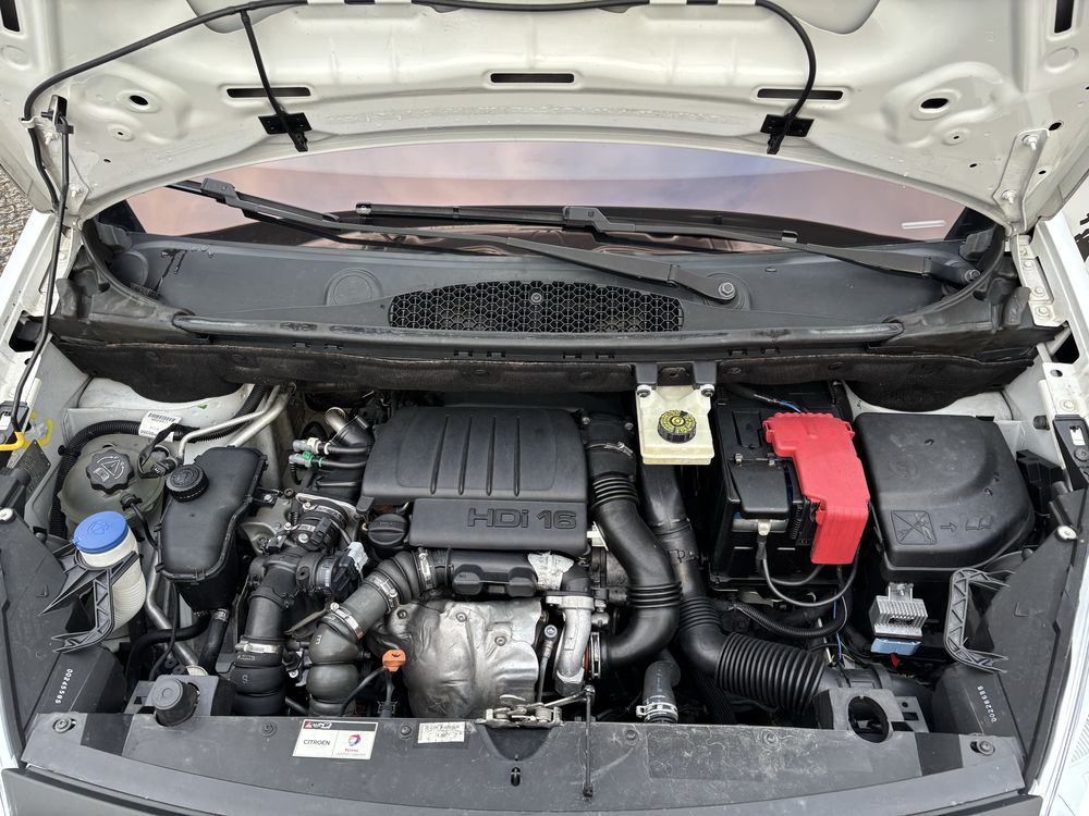 Berlingo citroen dangel 4x4 trek