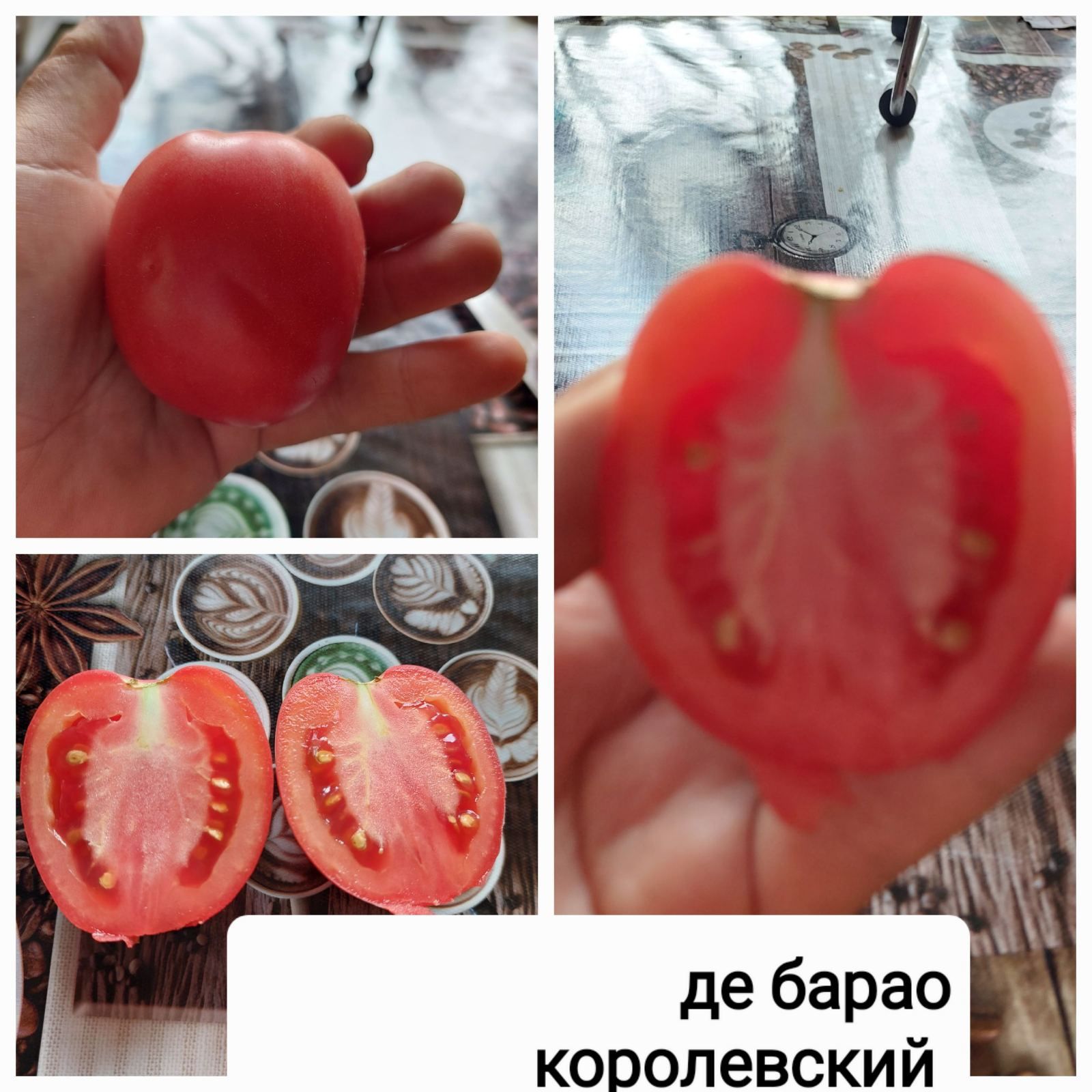 Рассада томатов в стаканчиках