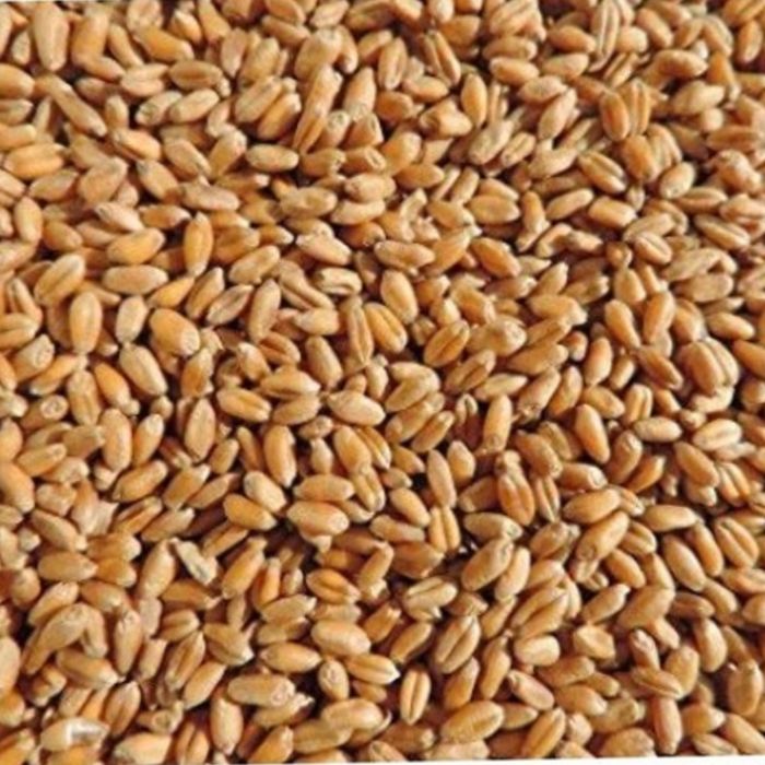 Продам зерно с доставкой по городу и району