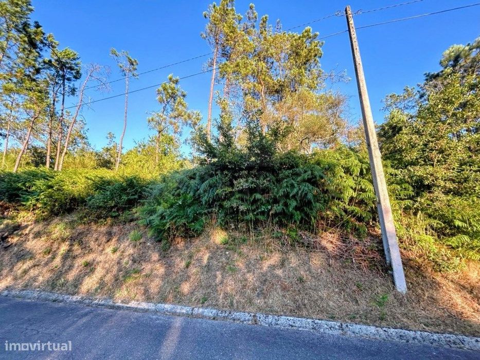 Terreno com área total de 110m2- Floresta de Produção com Potencial...