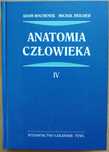 Anatomia człowieka t. IV Bochenek