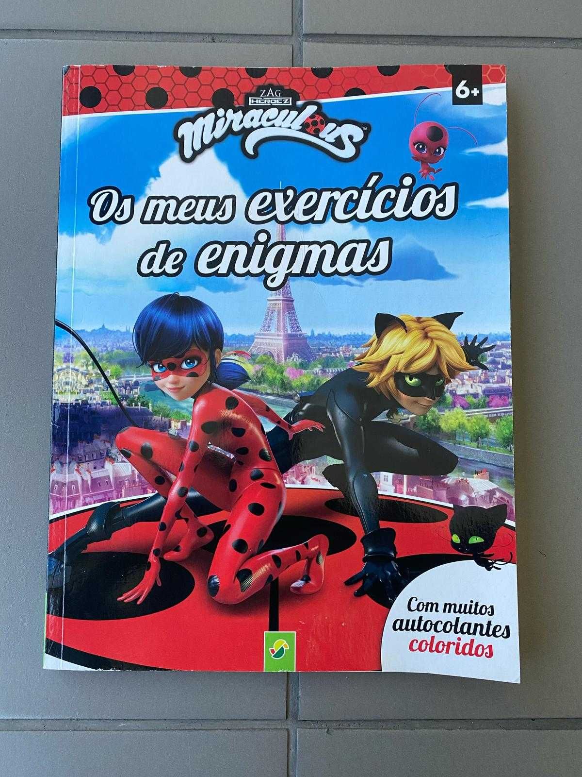 Livro com exercícios de enigmas da Ladybug