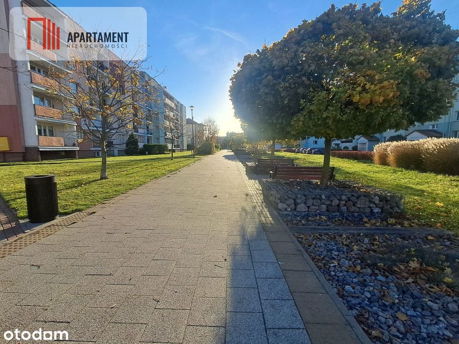 3 pokoje z loggią*2-Piętro* Tczew* Suchostrzygi*