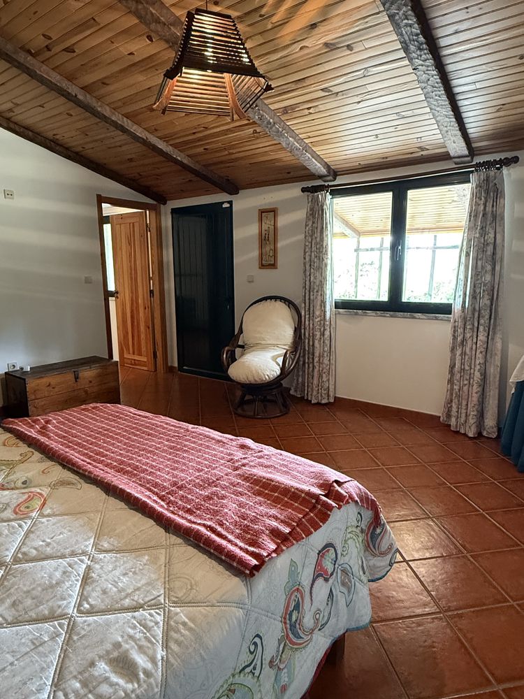 Quinta no Centro de Mira com 10.000 m² – Oportunidade Única!