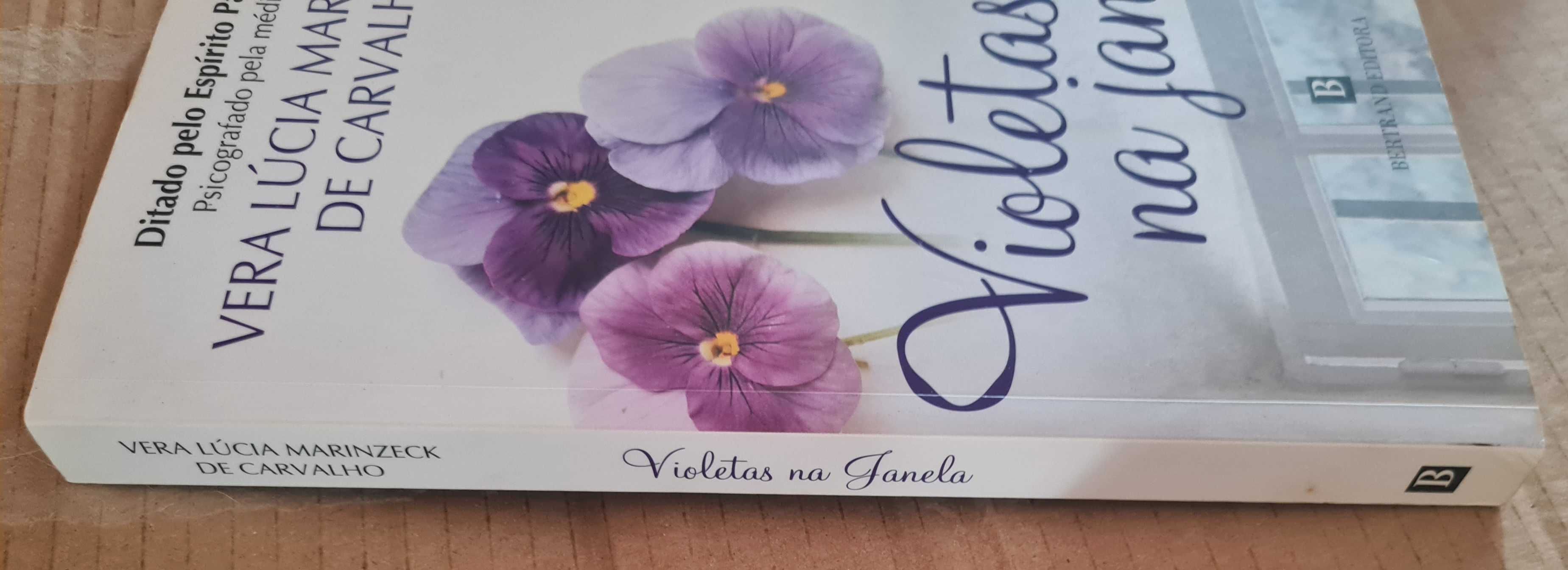 Violetas na Janela de Vera Lúcia Marinzeck de Carvalho