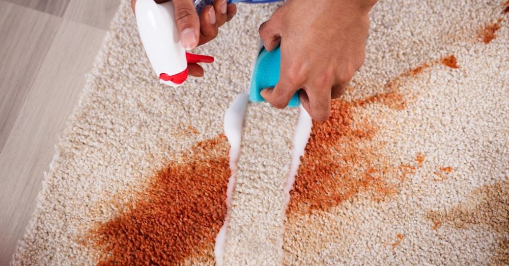 Limpeza de tapetes e carpetes