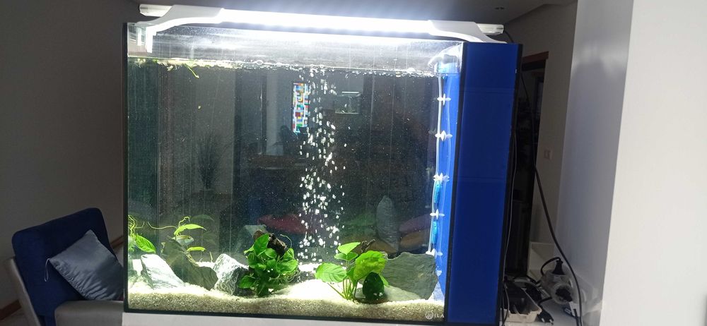 Aquário água quente e doce