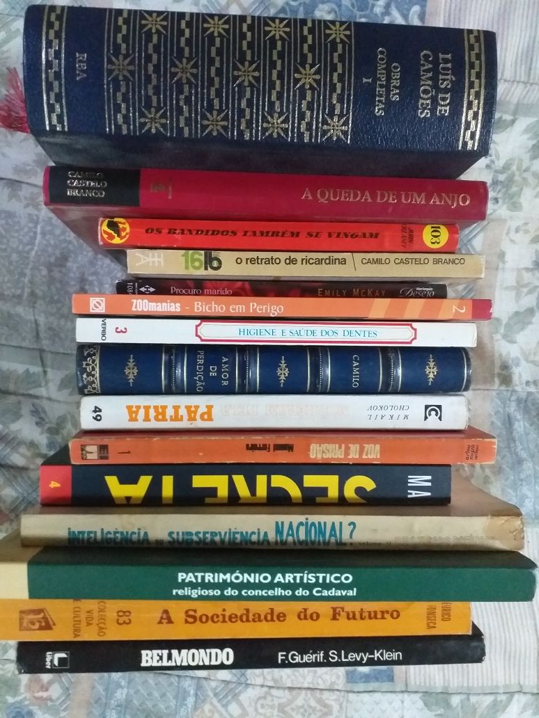 Vários livros 1€ (antigos, romances, secundário, autores portugueses)