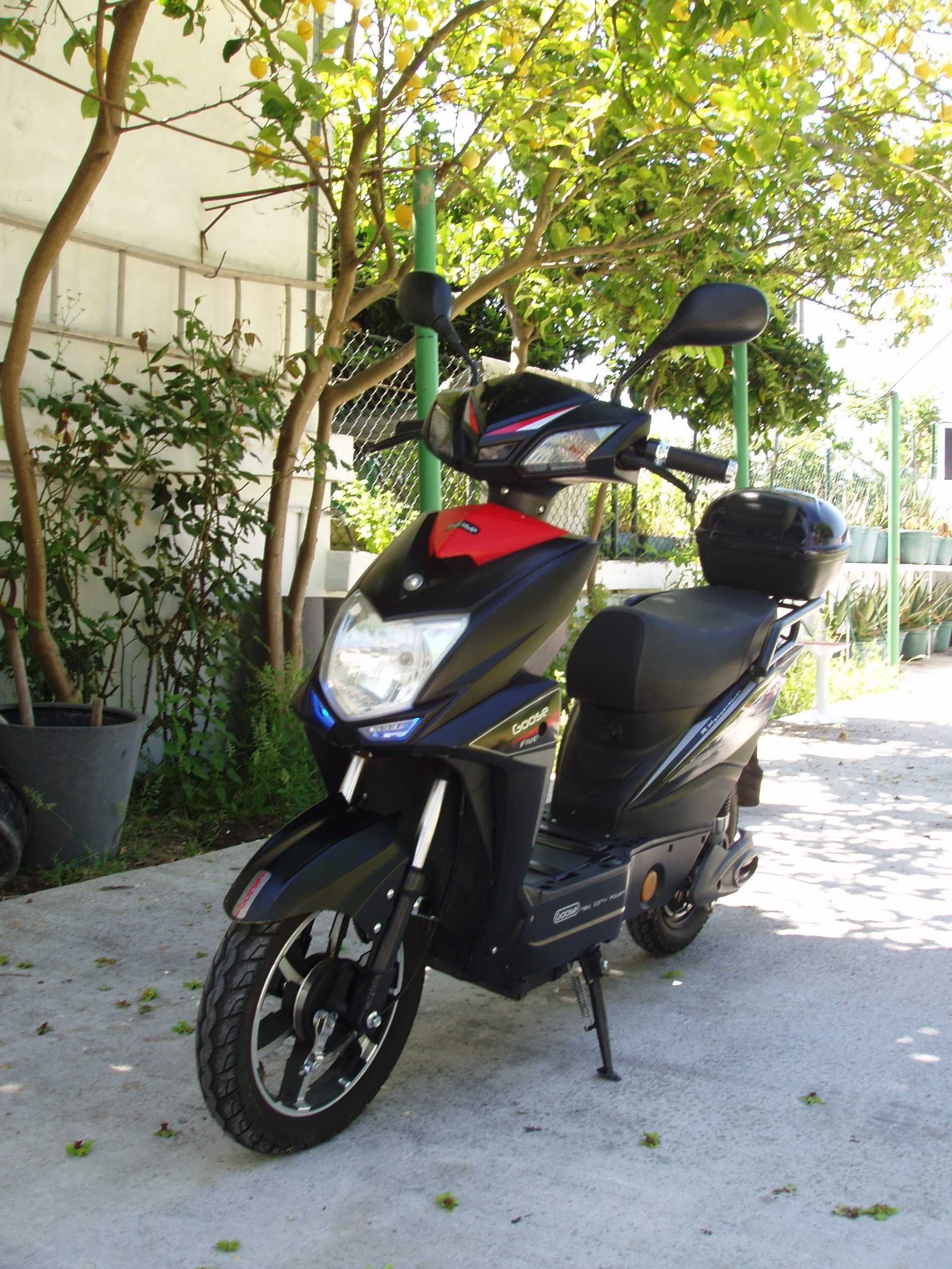 Scooter Elétrica Goose