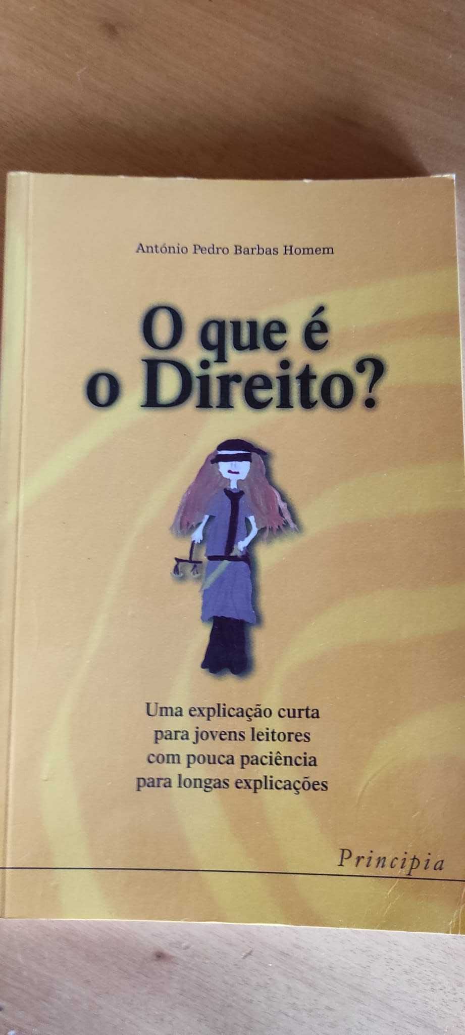 Livro "O que é o Direito?"