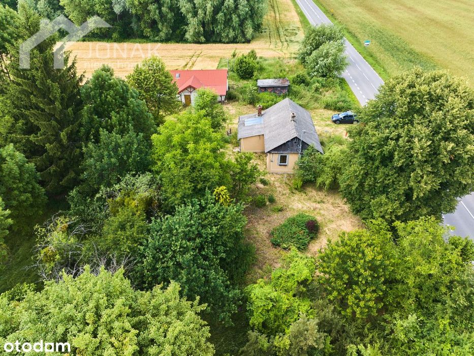 Siedlisko blisko lasu i zalewu