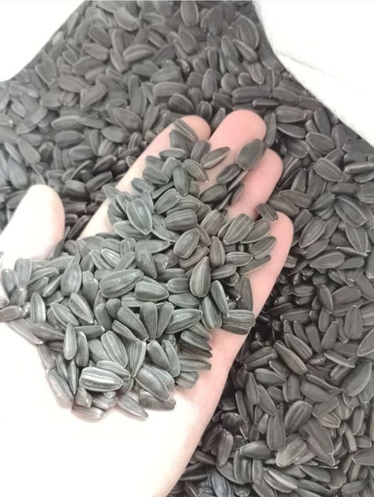 Семечка подсолнуха крупная, очищенная для жарки 150грн/кг